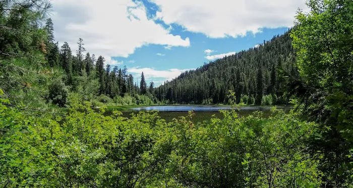 Buck Lake Campground Picture 10