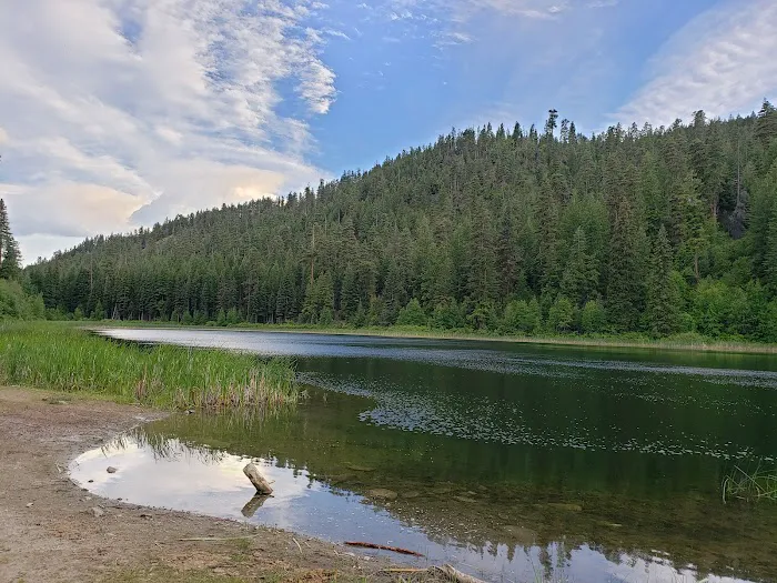 Buck Lake Campground Picture 7