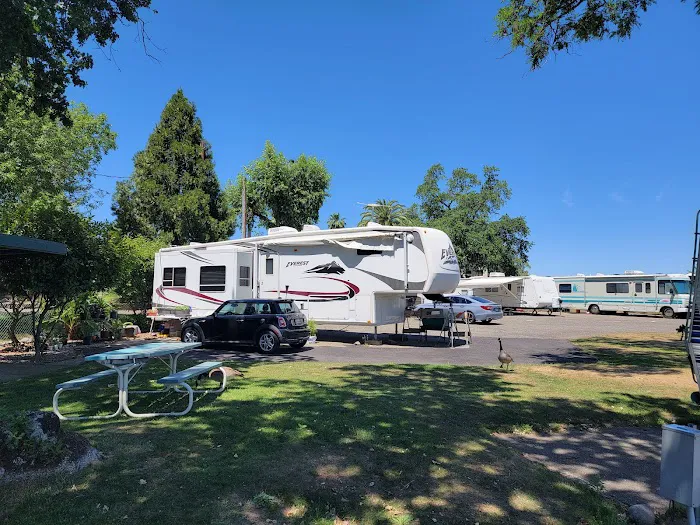 Marina RV Park Picture 8