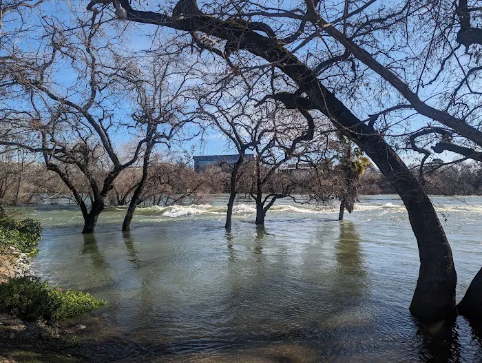 Marina RV Park Picture 1