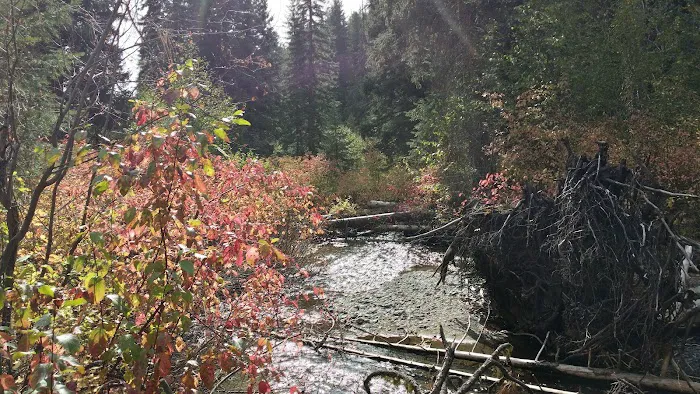 Flat Campground Picture 1