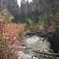 Flat Campground ico
