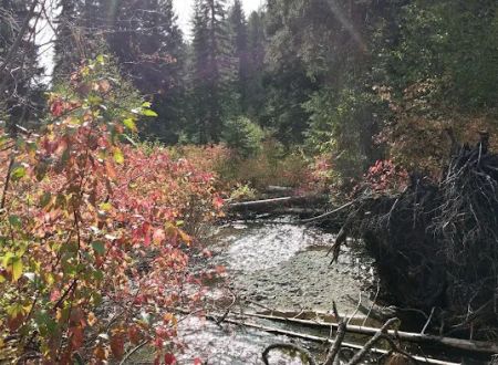 Flat Campground