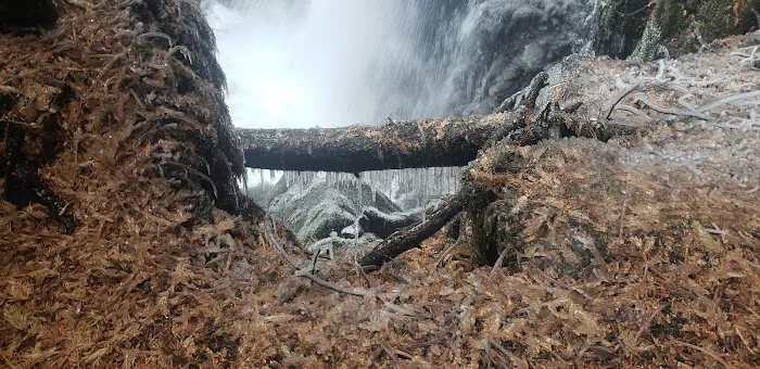 Falls Creek Campground Picture 5