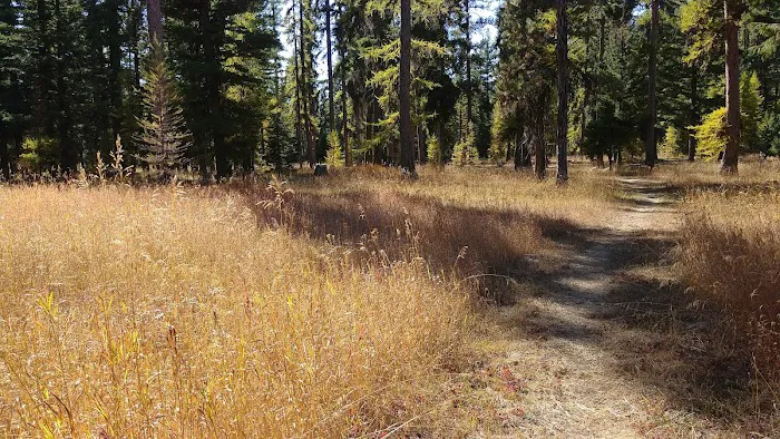 Loup Loup Campground Picture 1
