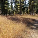 Loup Loup Campground