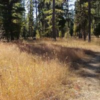 Loup Loup Campground ico