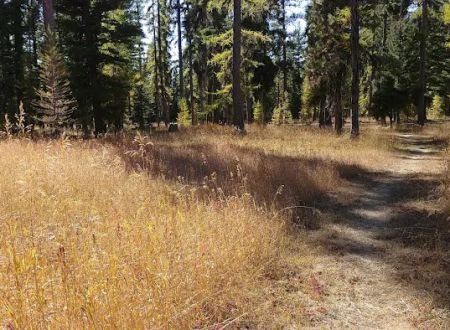 Loup Loup Campground