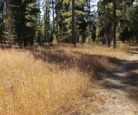 Loup Loup Campground