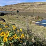 Rocky Flats Campground