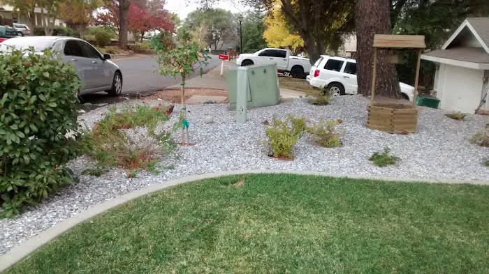 Cameron Park Mobile Home Ests Picture 6