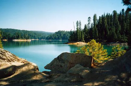 Quail Ridge RV Park Picture 2