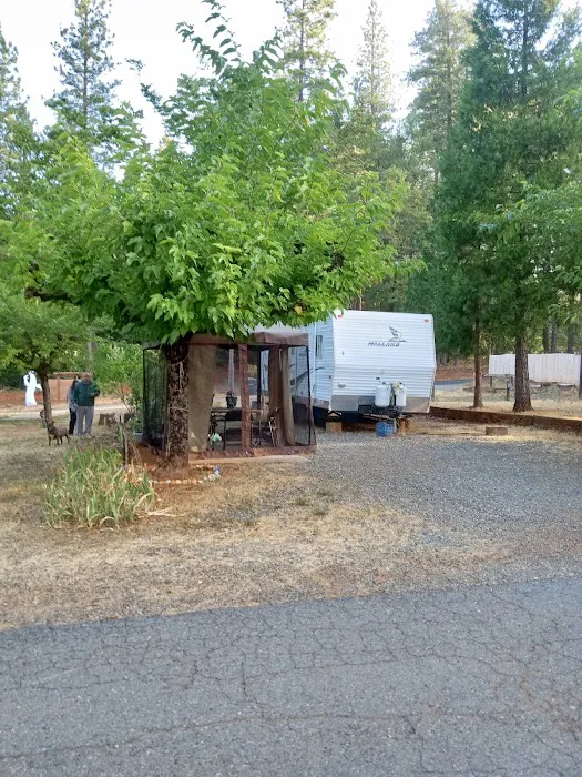 Forbestown Mobile Home and RV Park Picture 3