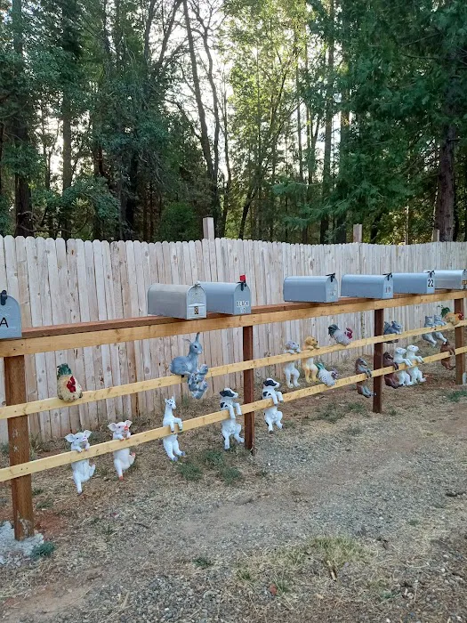 Forbestown Mobile Home and RV Park Picture 7