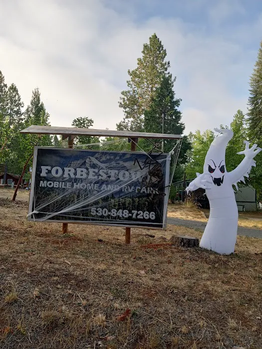 Forbestown Mobile Home and RV Park Picture 2