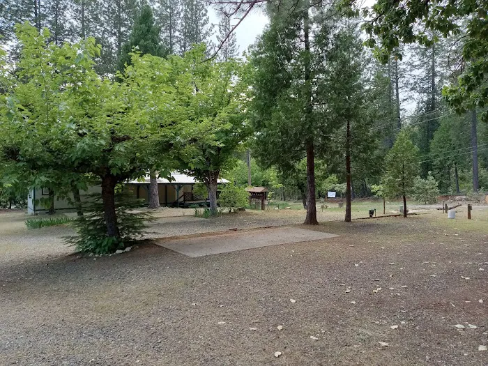 Forbestown Mobile Home and RV Park Picture 9