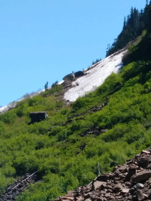 Hannegan Campground Picture 5