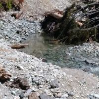 Hannegan Campground ico