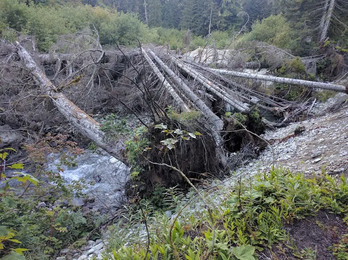 Hannegan Campground Picture 3