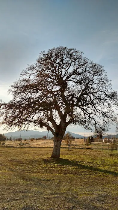 Redding Hilltop Estates Picture 4
