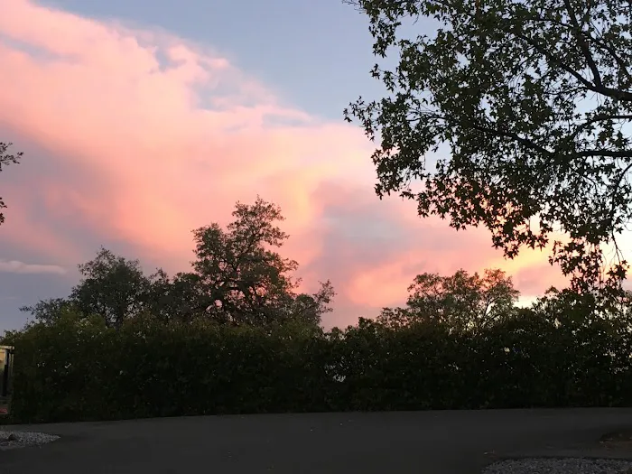 Redding RV Park Picture 8