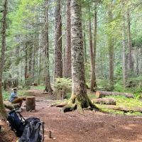 U.S. Cabin Campground ico