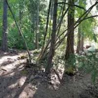 Lightning Creek Campground ico