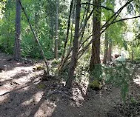 Lightning Creek Campground