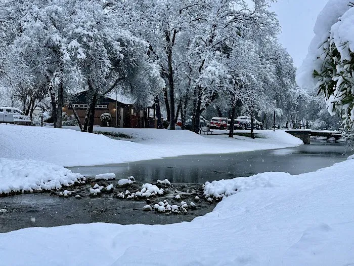 Boulder Creek RV Resort Picture 7