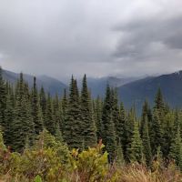 Desolation Campground ico