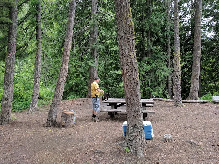 River Bend Campground Picture 3