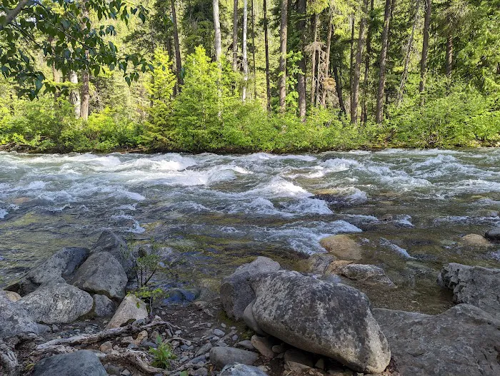 Ballard Campground Picture 4