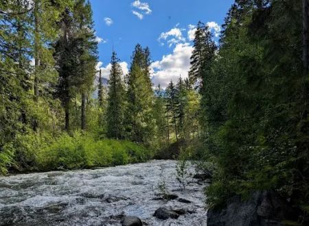 Ballard Campground
