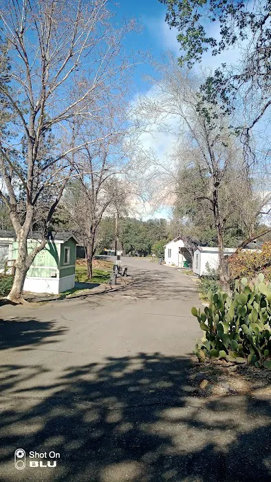 Park Villa Mobile Home Park Picture 3