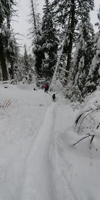 Early Winters Campground Picture 4