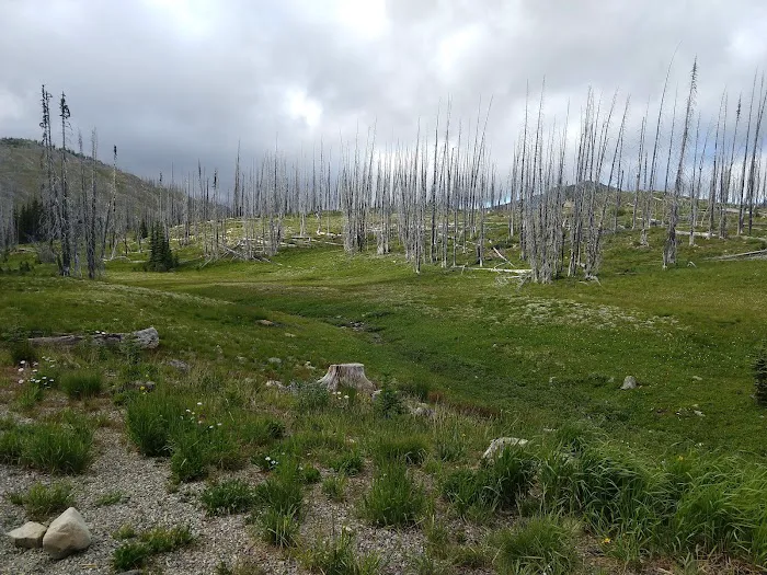 Meadows Campground Picture 2