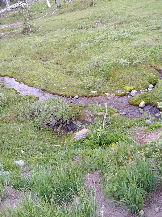 Meadows Campground Picture 3
