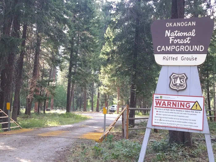 Ruffed Grouse Campground Picture 4