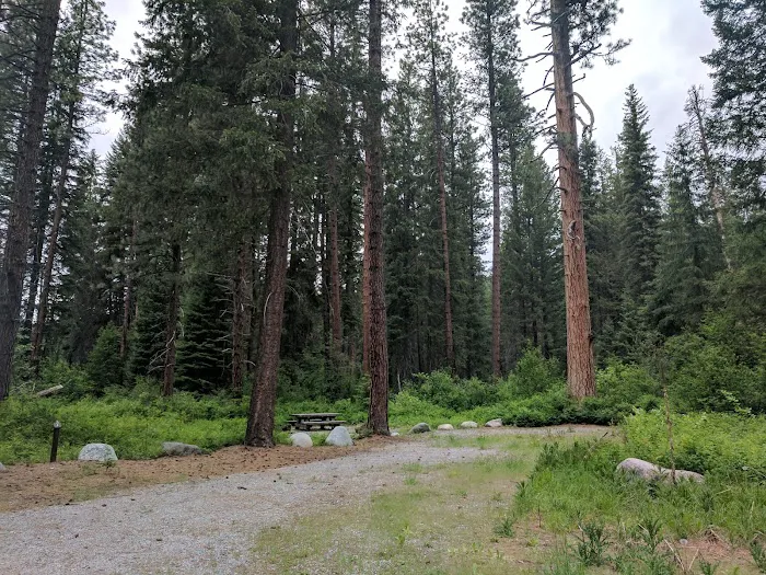 Ruffed Grouse Campground Picture 1