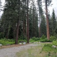 Ruffed Grouse Campground ico