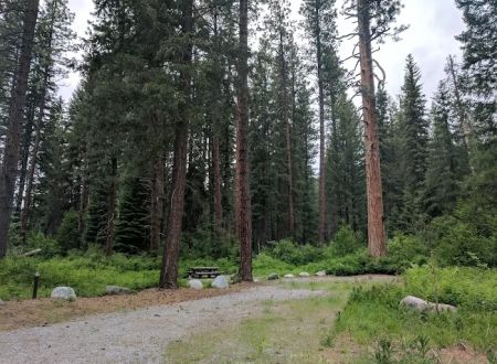 Ruffed Grouse Campground