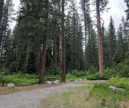 Ruffed Grouse Campground