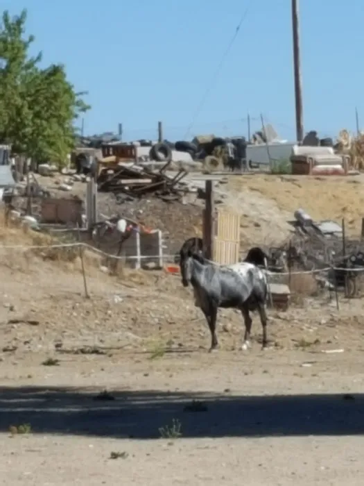 San Miguel Trailer Park Picture 1