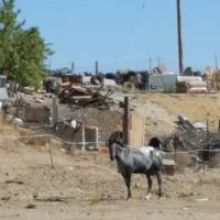 San Miguel Trailer Park ico