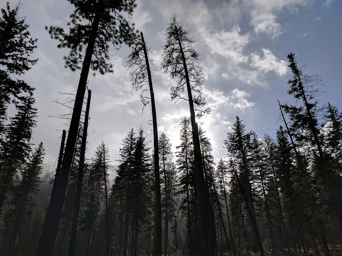 Honeymoon Campground Picture 4