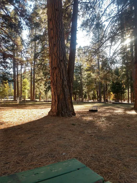 Taylorsville Campground Picture 4