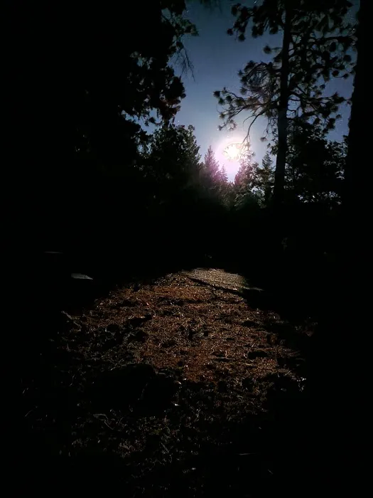 Taylorsville Campground Picture 2