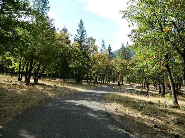 Taylorsville Campground Picture 7