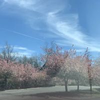 Twin Lakes Mobile Estates ico