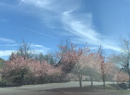 Twin Lakes Mobile Estates